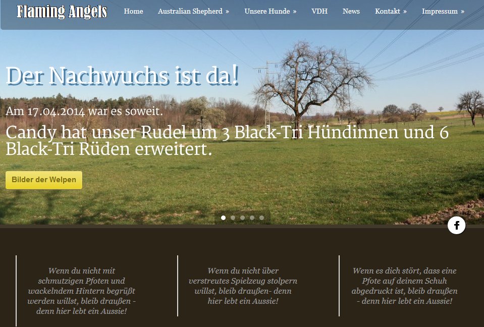 Relaunch von flamingangels.de